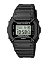 Casio DW-5600NH-1E
