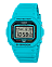 Casio DW-5600EP-2E