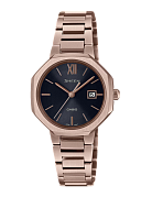 SHS-4529CG-1A
