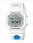 Casio DW-5600MWCT-7E