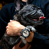 G-SHOCK GA-2000WM-1A