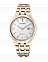 CITIZEN EW2493-81B