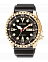 CITIZEN NH8383-17EE