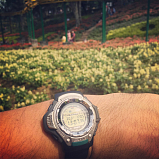Casio Pro Trek PRT-41-1V