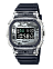 Casio DW-5600SKC-1E