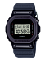 Casio DW-5600NNJ-2E