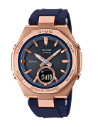 MSG-B100G-2A
