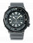 Seiko SRPE31K1
