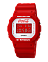 Casio DW-5600CC23-4E