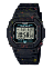 Casio G-5600BG-1E