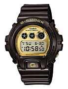 Часы G-SHOCK DW-6900BR-5E