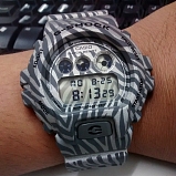 G-SHOCK DW-6900ZB-8E