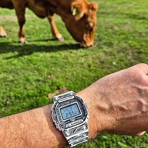 DW-5600JV-7E