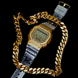 G-SHOCK DWE-5600HG-1E