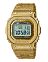 GMW-B5000PG-9E