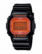 DW-5600CS-1E