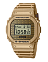 Casio DWE-5600HG-1E