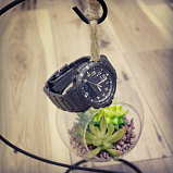 Casio Pro Trek PRW-50FC-1E