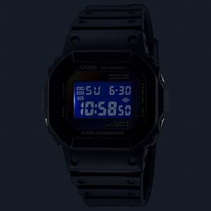 DW-5600RW-1E
