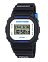 Casio DW-5600TT25-1E