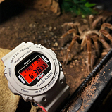 G-SHOCK DW-5700SF-1E