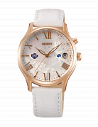 Часы FDM01004W