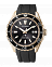 CITIZEN BN0193-17E