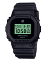 Casio DWE-5600UD-1E