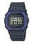 Casio DW-5600RS-8E
