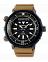 Seiko SNJ029P1