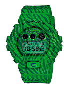 Часы G-SHOCK DW-6900ZB-3E