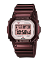 Casio GB-5600AA-5E