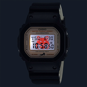 DW-5600SHB-1E