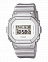 Casio DW-5600SG-7E